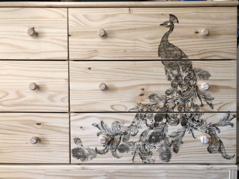 Pavo Decor Stamp by IOD