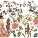 JAPONICA 24×33 DECOR TRANSFER™ - Vintage Charm Homestead