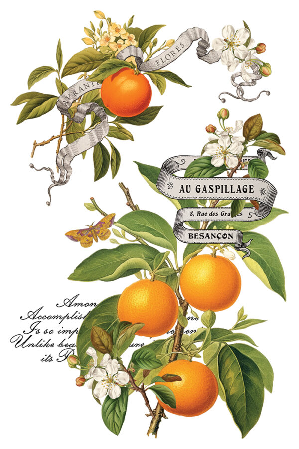 Clementine IOD Transfer 8x12 Pad™ - Image 9