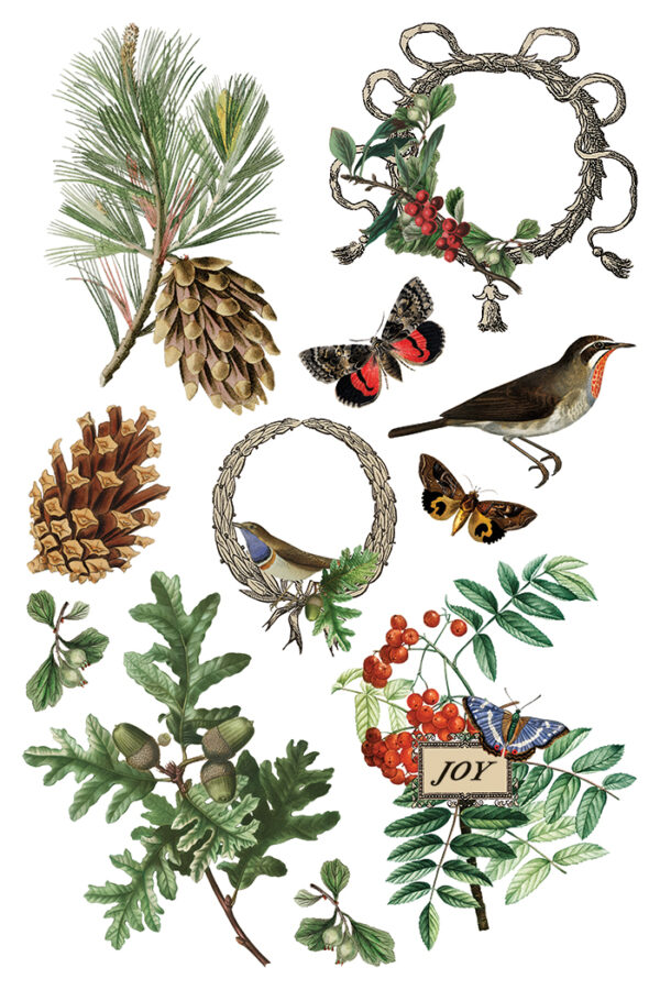 Winter Botanist IOD Transfer 8x12 Pad™ - Image 3
