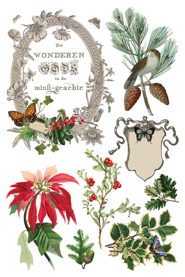 Winter Botanist IOD Transfer 8x12 Pad™ - Image 4