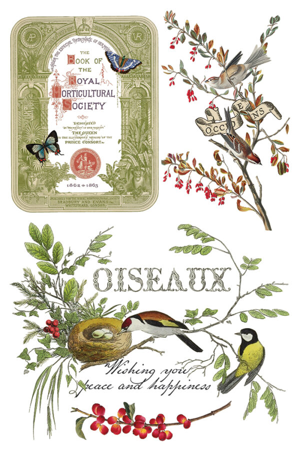 Winter Botanist IOD Transfer 8x12 Pad™ - Image 5