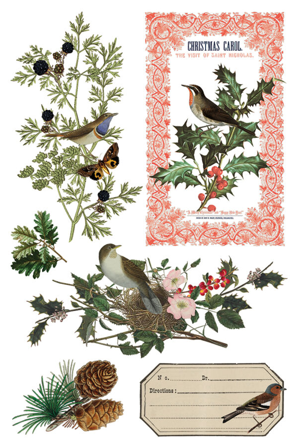 Winter Botanist IOD Transfer 8x12 Pad™ - Image 13