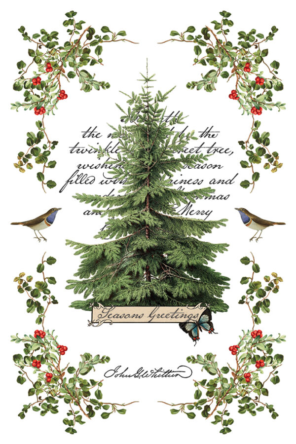 Winter Botanist IOD Transfer 8x12 Pad™ - Image 8