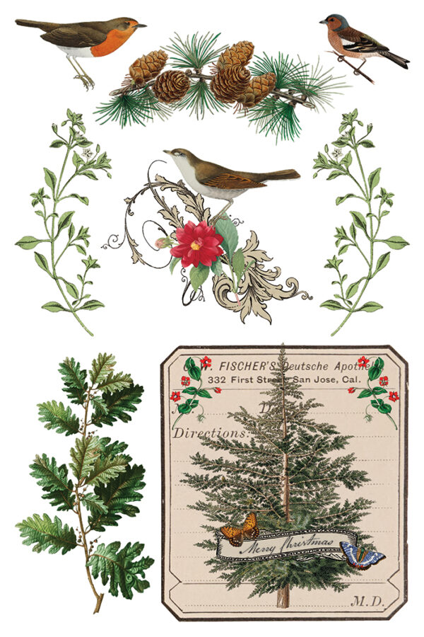 Winter Botanist IOD Transfer 8x12 Pad™ - Image 9