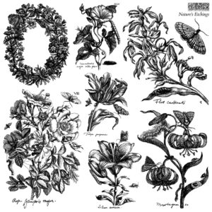 Nature's Etchings 12x12 IOD Stamp