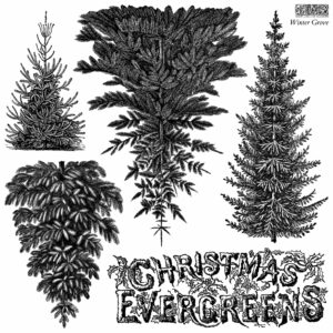 Winter Grove 12 x12 IOD Stamp